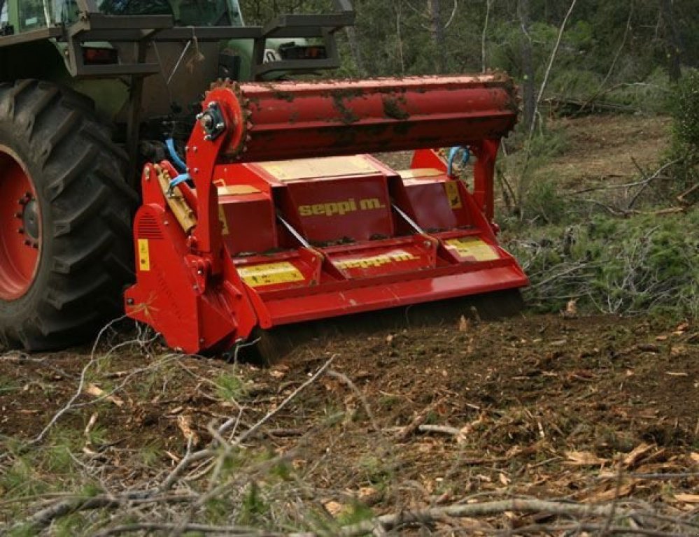 Straßenfräse typu Seppi Multiforst 250,  v Кіровоград (Obrázek 3)