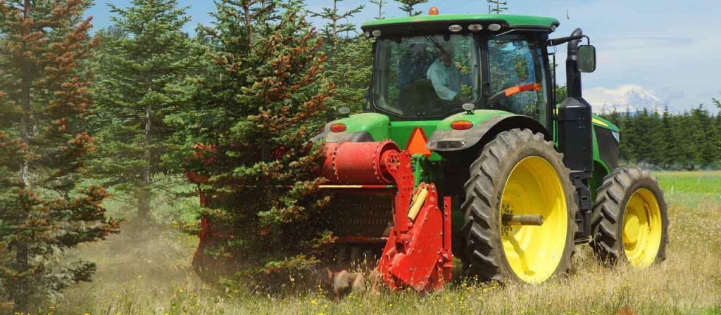 Straßenfräse van het type Seppi Multiforst 200, Gebrauchtmaschine in Київ (Foto 1)