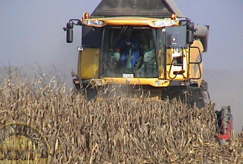 Maispflückvorsatz a típus Dominoni Rock 8,  ekkor: Хмельницький (Kép 7)