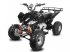 ATV & Quad des Typs Sonstige Quad 150cc 4 takt, Neumaschine in Doetinchem (Bild 2)