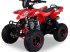 ATV & Quad typu Sonstige kinderquad 125cc 4takt, Neumaschine w HARDENBERG (Zdjęcie 8)