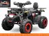 ATV & Quad typu Sonstige nitro motors nitro motors Quad 150cc 4takt, Neumaschine w HARDENBERG (Zdjęcie 3)