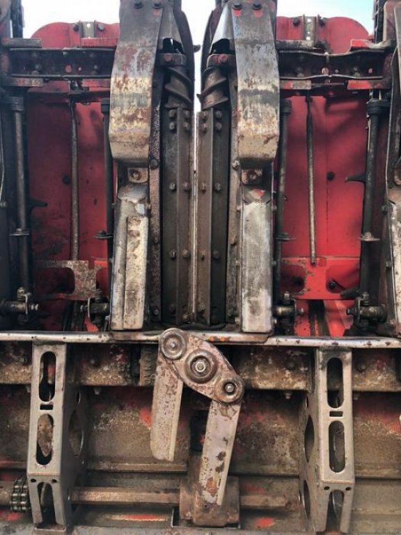 Maispflückvorsatz typu Olimac Drago 8, Gebrauchtmaschine v Володарка (Obrázek 8)