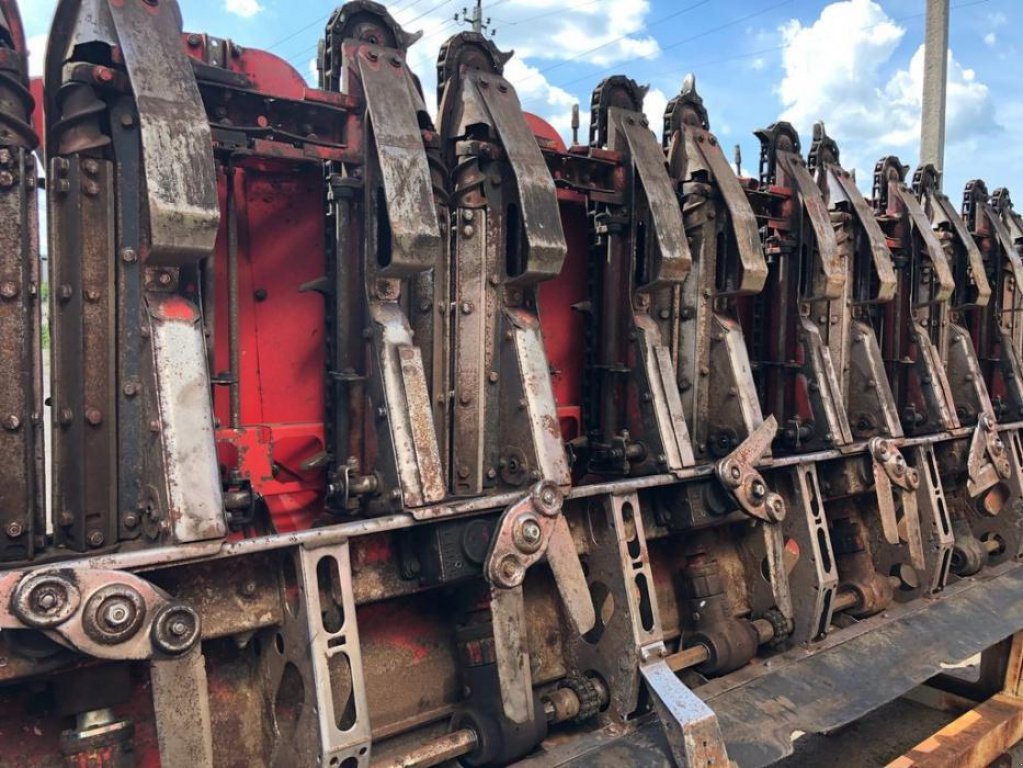 Maispflückvorsatz typu Olimac Drago 8, Gebrauchtmaschine v Володарка (Obrázek 4)