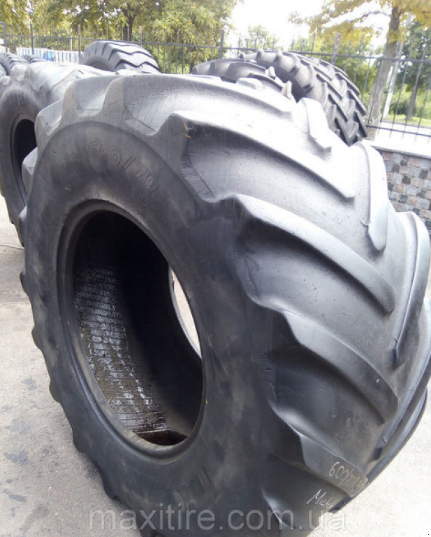 Reifen of the type Michelin 600/70R30.00,  in Житомир (Picture 1)