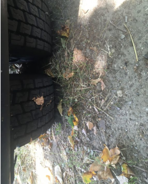 Muldenkipper tipa DAF FX, Neumaschine u Миколаїв (Slika 7)