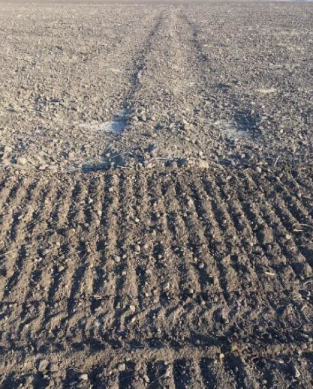 Kartoffelpflegetechnik typu Rolmako U-684,  v Київ (Obrázek 8)