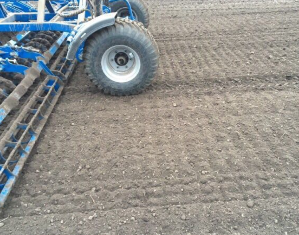 Kartoffelpflegetechnik typu Rolmako U-684,  v Київ (Obrázek 10)