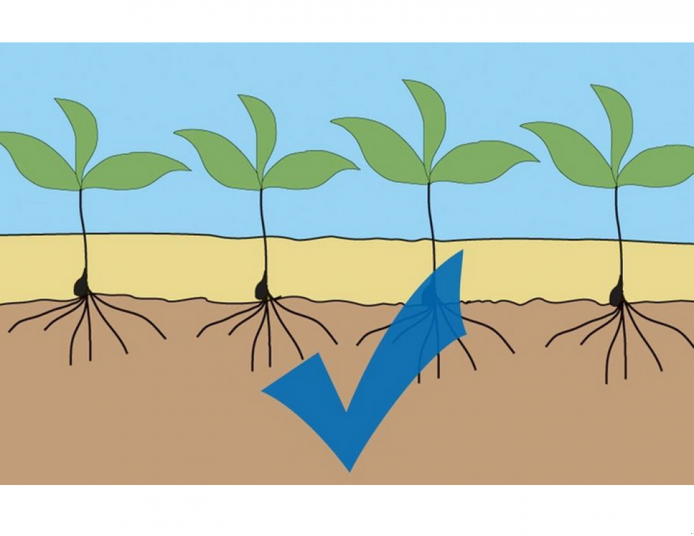 Kartoffelpflegetechnik typu Farmet K 1000 PS,  v Гуляйпо́ле (Obrázek 11)