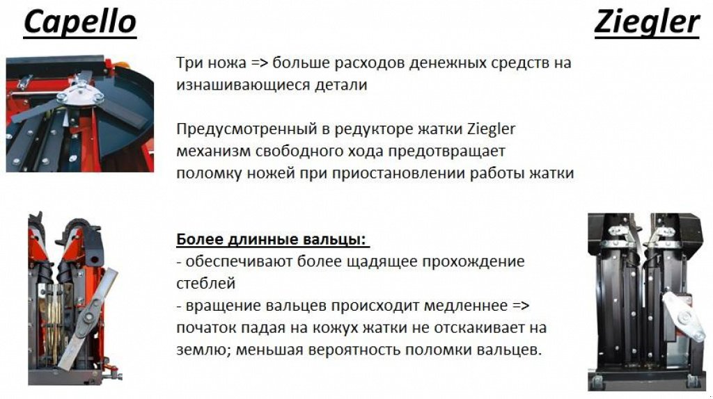 Maispflückvorsatz a típus Ziegler Corn Champion 8,  ekkor: Київ (Kép 4)