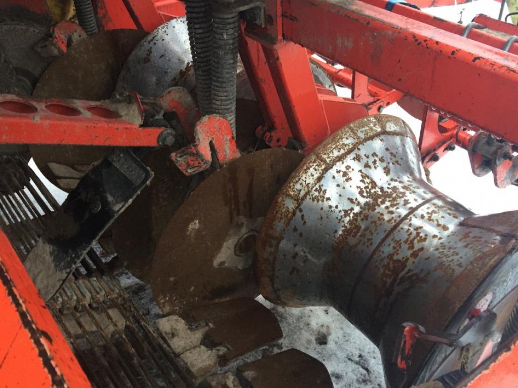 Kartoffelvollernter typu Grimme SE 150-60,  v Новгород-Сіверський (Obrázek 4)