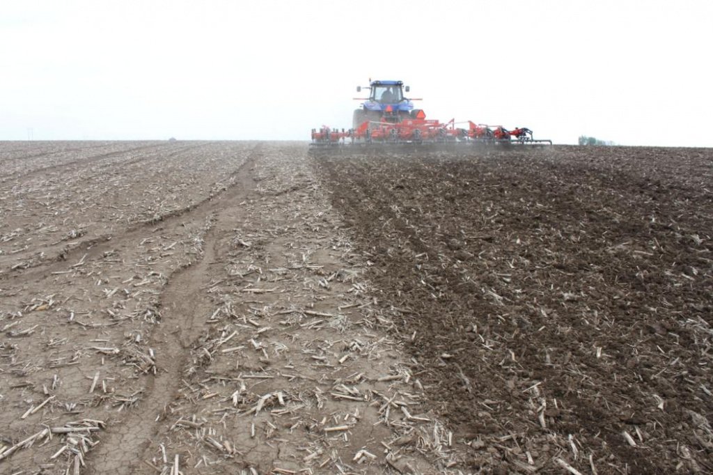 Kartoffelpflegetechnik typu Nordsten Krause 5635-36,  v Чабани (Obrázek 4)