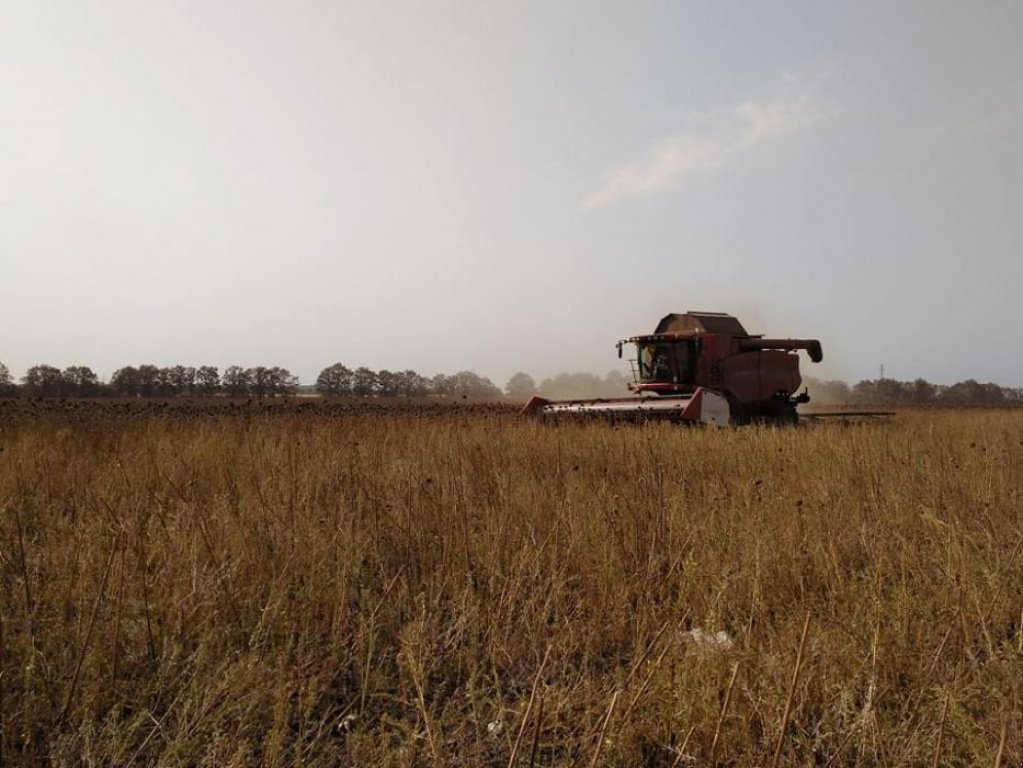 Oldtimer-Mähdrescher Türe ait Case IH Axial Flow 8010, Neumaschine içinde Гірник (resim 4)