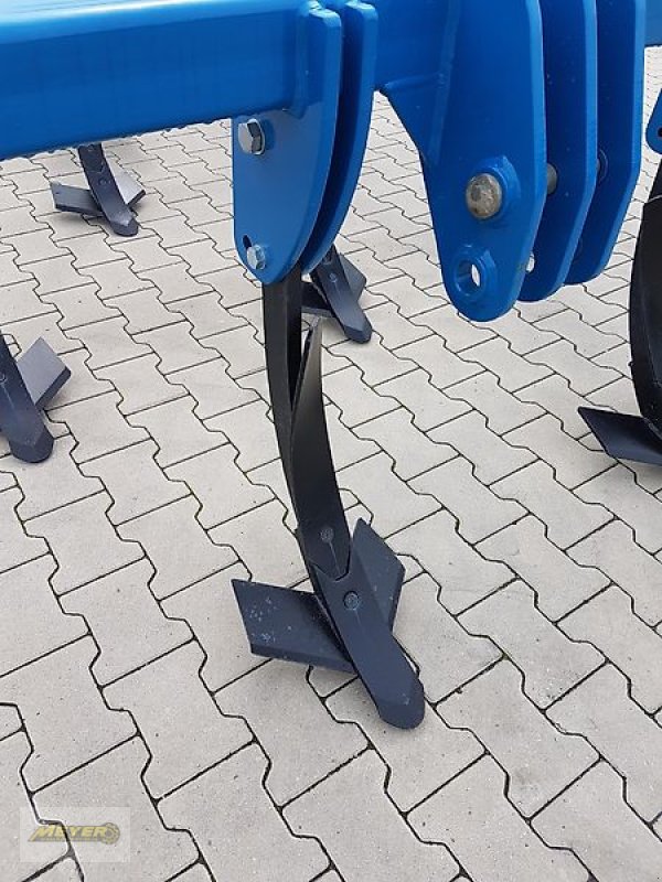 Grubber a típus Meyer Agrartechnik TG 3000, Neumaschine ekkor: Andervenne (Kép 10)