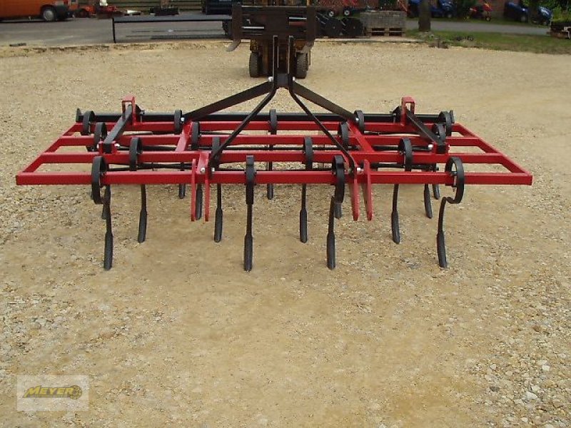 Grubber a típus Meyer Agrartechnik GF 3002, Neumaschine ekkor: Andervenne (Kép 9)