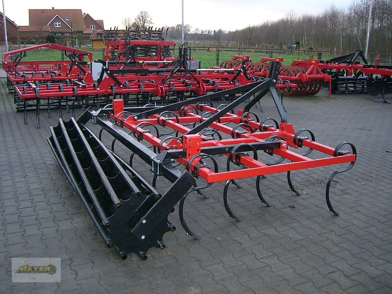 Grubber a típus Meyer Agrartechnik GF 3002, Neumaschine ekkor: Andervenne (Kép 18)