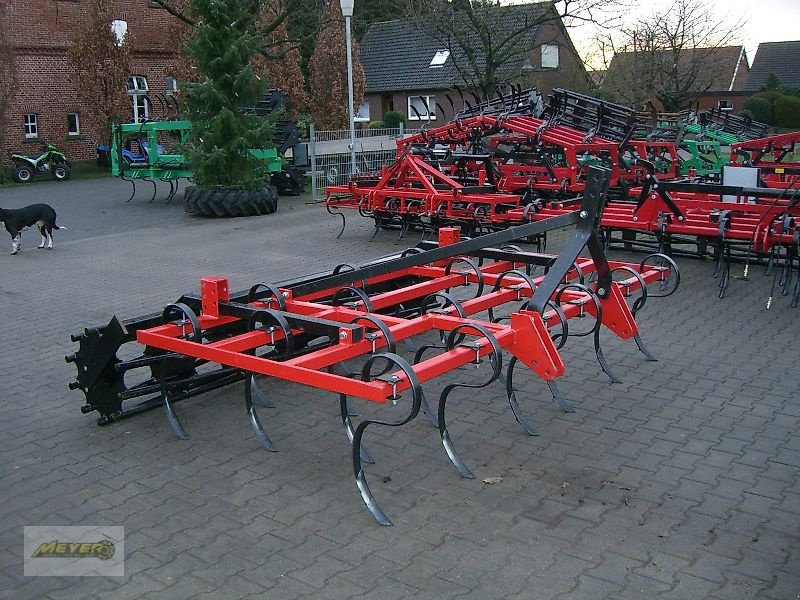 Grubber a típus Meyer Agrartechnik GF 3002, Neumaschine ekkor: Andervenne (Kép 5)