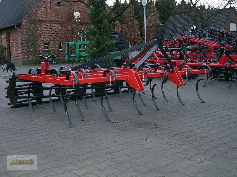 Grubber a típus Meyer Agrartechnik GF 3002, Neumaschine ekkor: Andervenne (Kép 7)