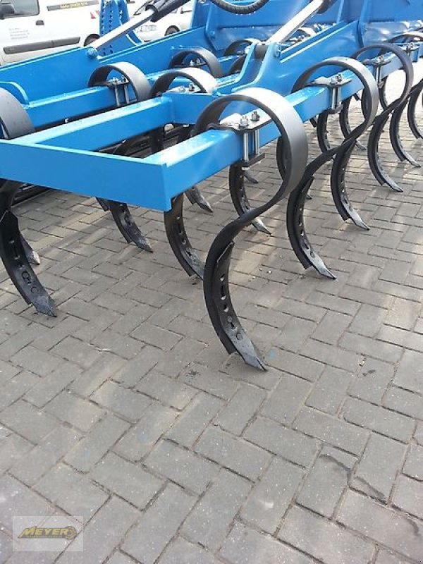 Grubber del tipo WM Meyer GFM 3000, Neumaschine In Andervenne (Immagine 4)