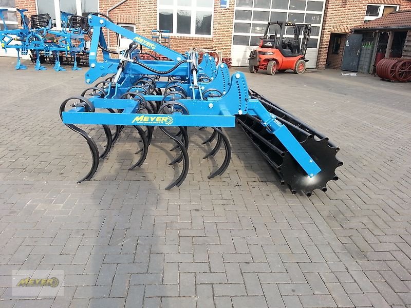 Grubber a típus WM Meyer GFM 5000, Neumaschine ekkor: Andervenne (Kép 5)