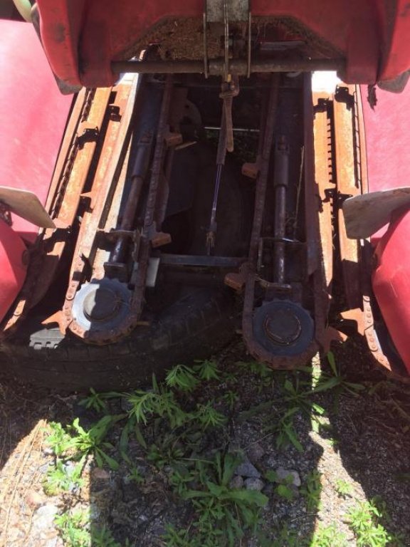 Maispflückvorsatz typu Geringhoff Rota Disc 800 B,  v Пролиски (Obrázek 6)