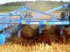 Kartoffelpflegetechnik typu Lemken Karat 9/300,  v Пологи (Obrázek 5)