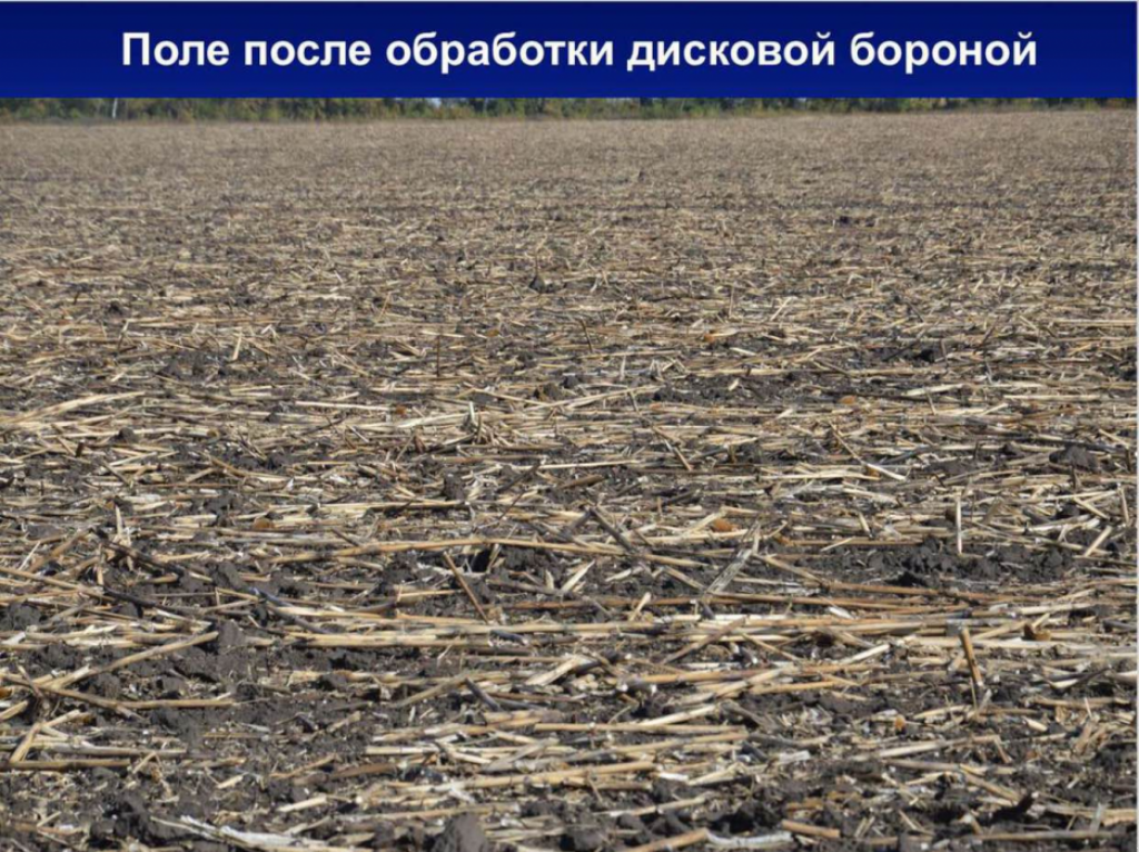 Straßenfräse typu Dalbo MaxiCut 600,  v Київ (Obrázek 7)