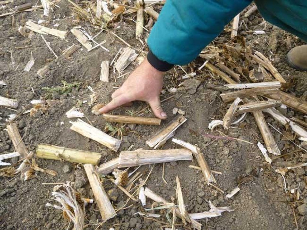 Straßenfräse typu Dalbo MaxiCut 600,  v Київ (Obrázek 9)