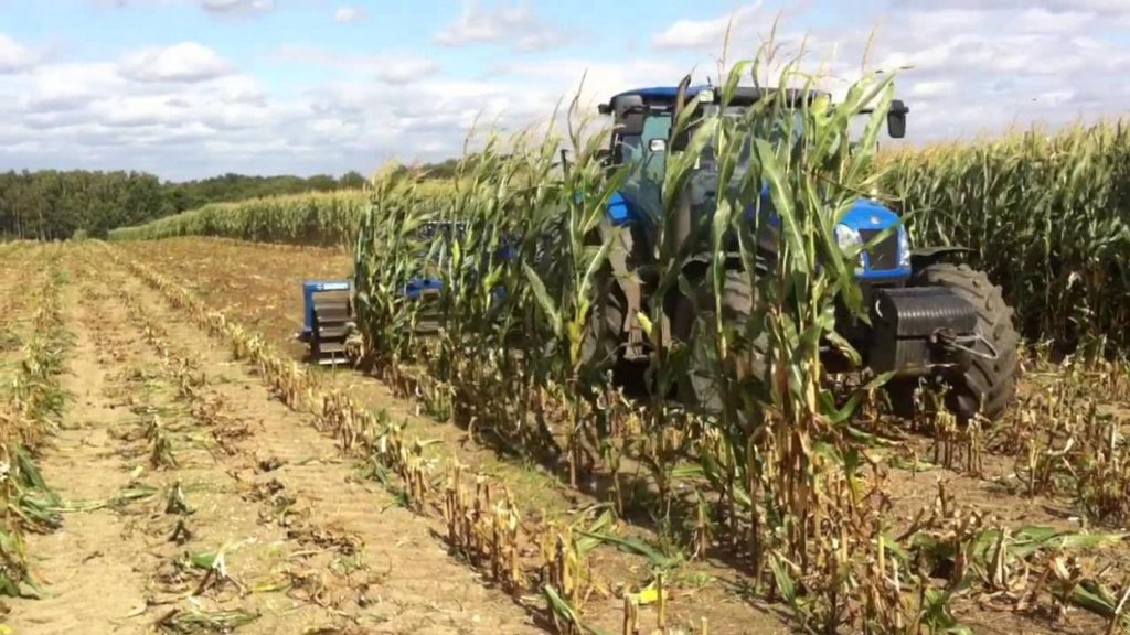 Straßenfräse typu Dalbo MaxiCut 600,  v Київ (Obrázek 1)