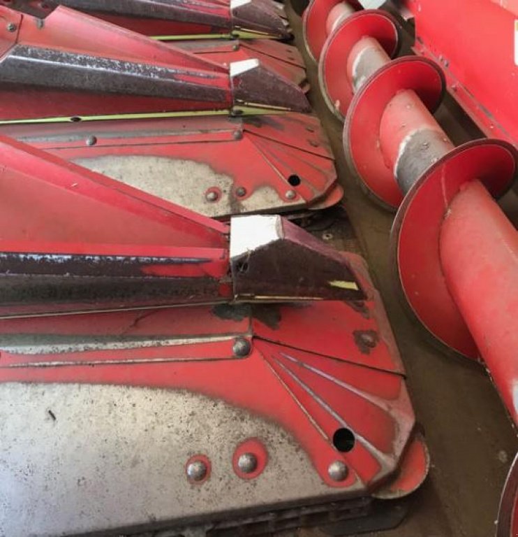 Maispflückvorsatz del tipo Olimac S 8-TR,  In Черкаси (Immagine 3)