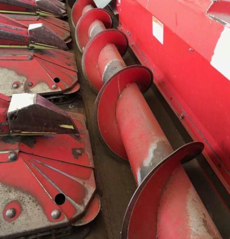 Maispflückvorsatz del tipo Olimac S 8-TR,  In Черкаси (Immagine 8)