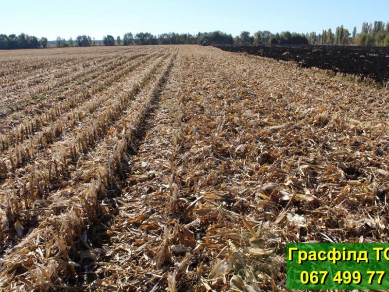 Walze του τύπου Dalbo MaxiCut 400, Gebrauchtmaschine σε Київ (Φωτογραφία 1)