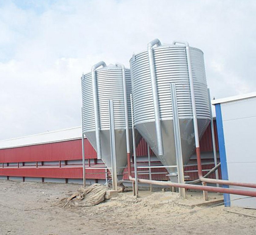 Silo typu Silowave Futtersilo 8T, Neumaschine w Frankfurt (Oder) (Zdjęcie 8)