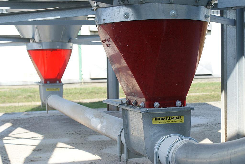 Silo typu Silowave Futtersilo 8T, Neumaschine w Frankfurt (Oder) (Zdjęcie 11)