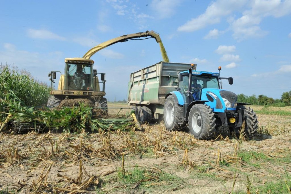 Oldtimer-Traktor typu Landini 7-230, Neumaschine v Київ (Obrázek 4)