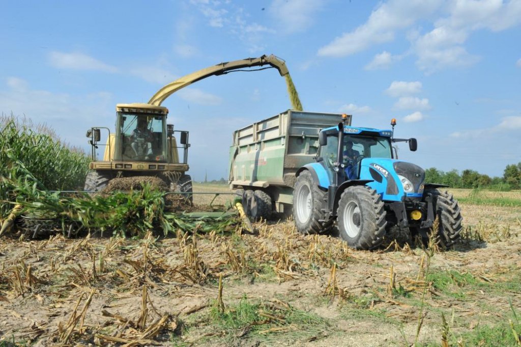 Oldtimer-Traktor tip Landini 7-230, Neumaschine in Київ (Poză 4)