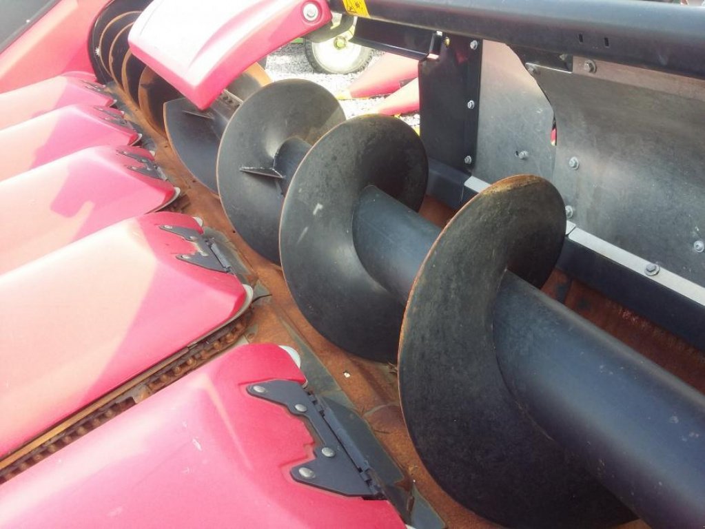 Maispflückvorsatz of the type Geringhoff Rota Disc 600, Gebrauchtmaschine in Біла Церква (Picture 3)