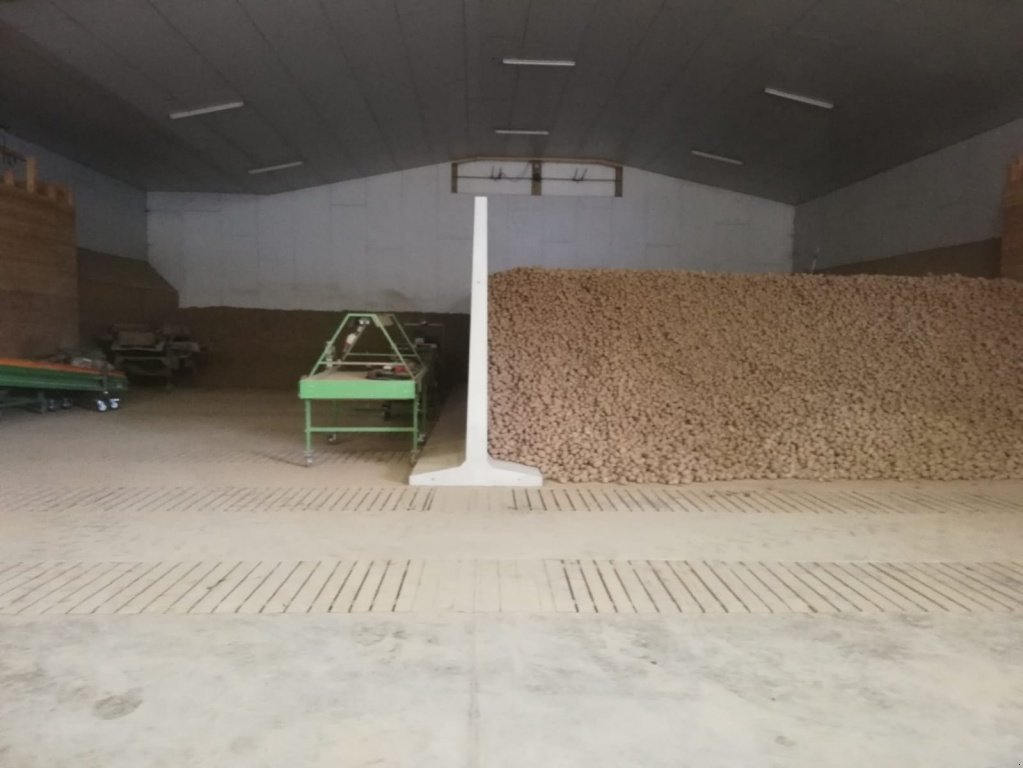 Kartoffellagerungstechnik typu Müller T-Teil, Kartoffellagertechnik, Neumaschine v Neuburg a. d. Kammel (Obrázek 10)