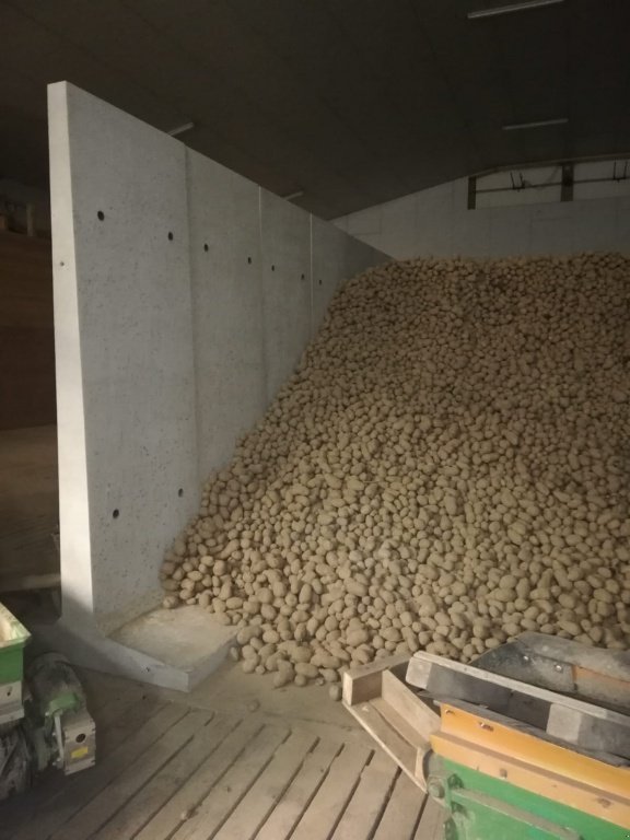 Kartoffellagerungstechnik typu Müller T-Teil, Kartoffellagertechnik, Neumaschine v Neuburg a. d. Kammel (Obrázek 4)