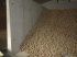 Kartoffellagerungstechnik typu Müller T-Teil, Kartoffellagertechnik, Neumaschine v Neuburg a. d. Kammel (Obrázek 4)