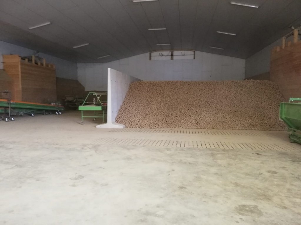 Kartoffellagerungstechnik typu Müller T-Teil, Kartoffellagertechnik, Neumaschine v Neuburg a. d. Kammel (Obrázek 2)