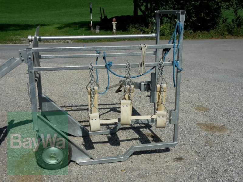 Werner Klauenpflegestand Sonstige Stalltechnik - technikboerse.com