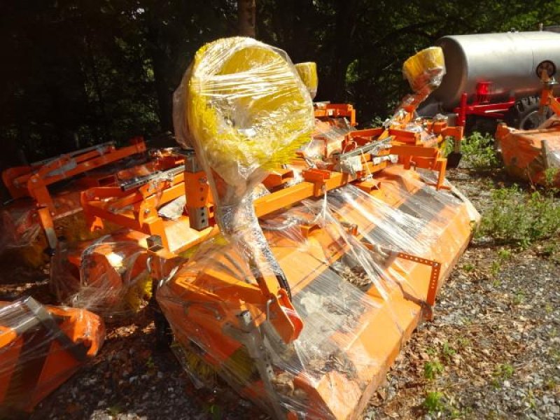 Kehrmaschine a típus Sonstige 2,5 Meter - Kehrmaschine- mit Hydraulischer Wannenentleerung- auch mit Seitenbesen möglich- verschiedene Breiten möglich, Neumaschine ekkor: Neureichenau (Kép 20)