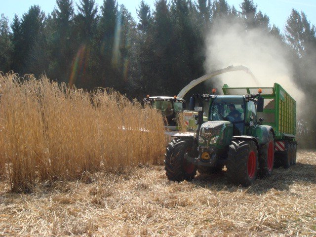 GPS-Schneidwerk tipa Dominoni Multi Power Disc 612 L, Neumaschine u Baumgarten (Slika 13)