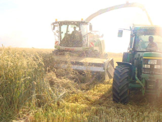 GPS-Schneidwerk tipa Dominoni Multi Power Disc 612 L, Neumaschine u Baumgarten (Slika 10)