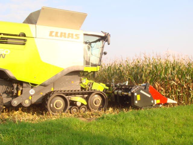 Maispflückvorsatz des Typs Dominoni SL 966 BG M, Neumaschine in Baumgarten (Bild 8)