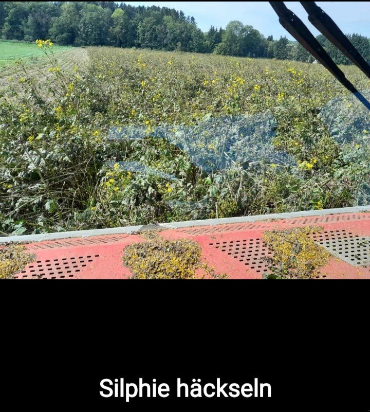 GPS-Schneidwerk tipa Dominoni Multi Power Disc 760, Neumaschine u Baumgarten (Slika 29)