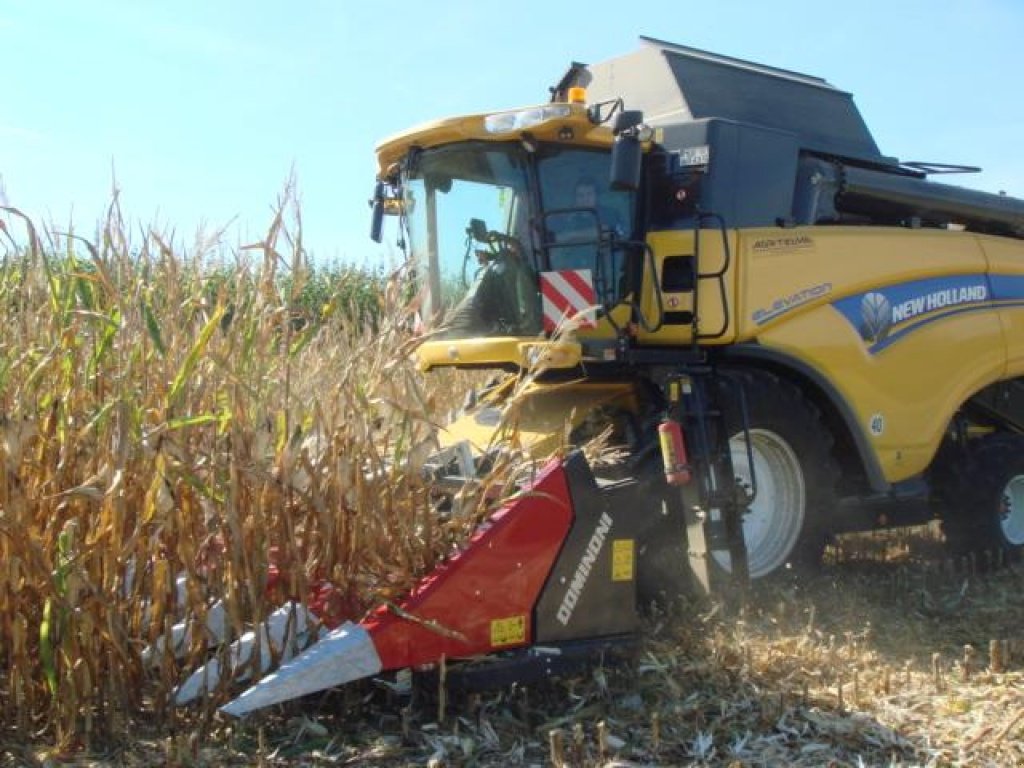 Maispflückvorsatz des Typs Dominoni SL 968, Neumaschine in Baumgarten (Bild 3)