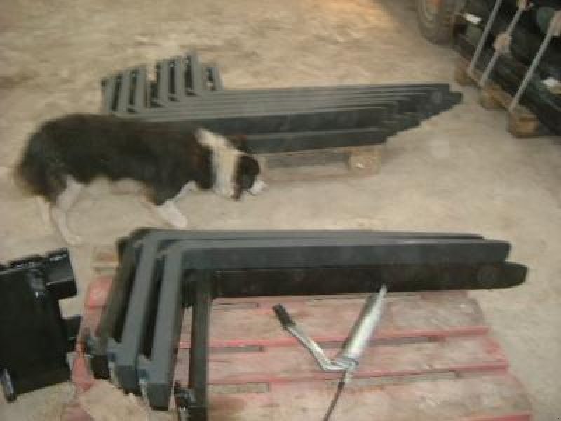 Palettengabel Türe ait Sonstige Palettengabel, Neumaschine içinde Steinau  (resim 1)