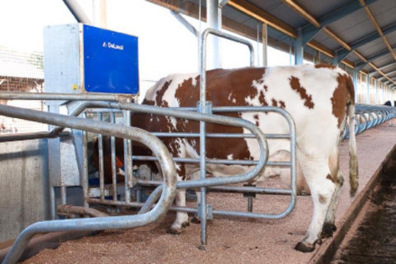 Siloentnahmegerät & Verteilgerät del tipo Alfa Laval FSC400 Kraftfutterstation, Neumaschine In St. Marienkirchen (Immagine 5)